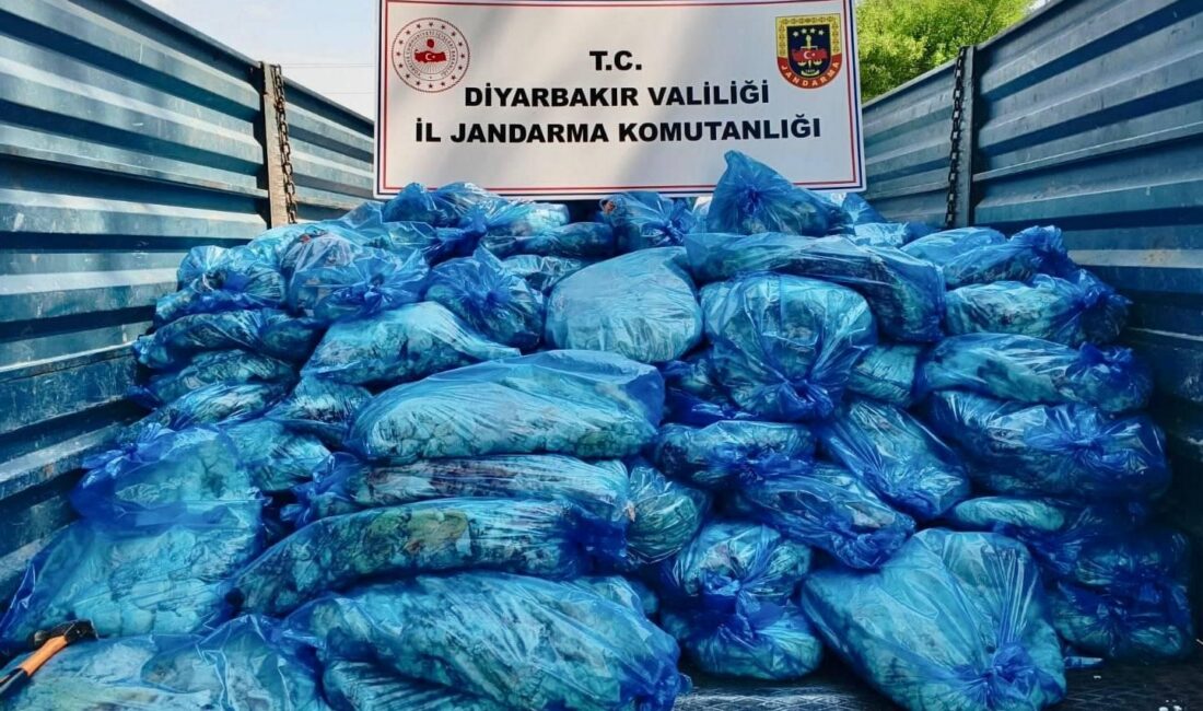 Diyarbakır'da jandarma ekiplerince yaklaşık 3 ton hayvansal iç yağ ele