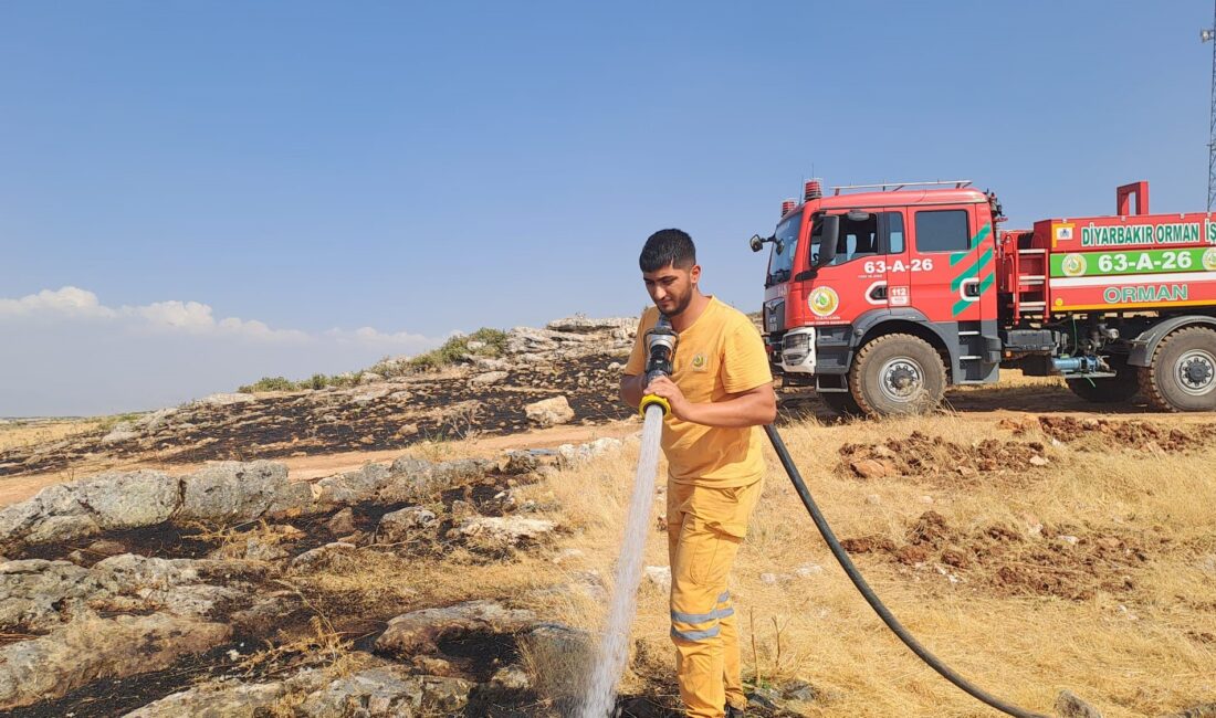 Diyarbakır’ın Silvan ilçesinde yaklaşık 400 dönüm alanı küle çeviren örtü