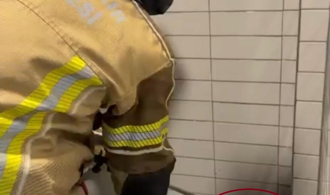 Diyarbakır'ın Bismil ilçesinde petrol istasyonuna giren yaklaşık 2,5 metre uzunluğundaki