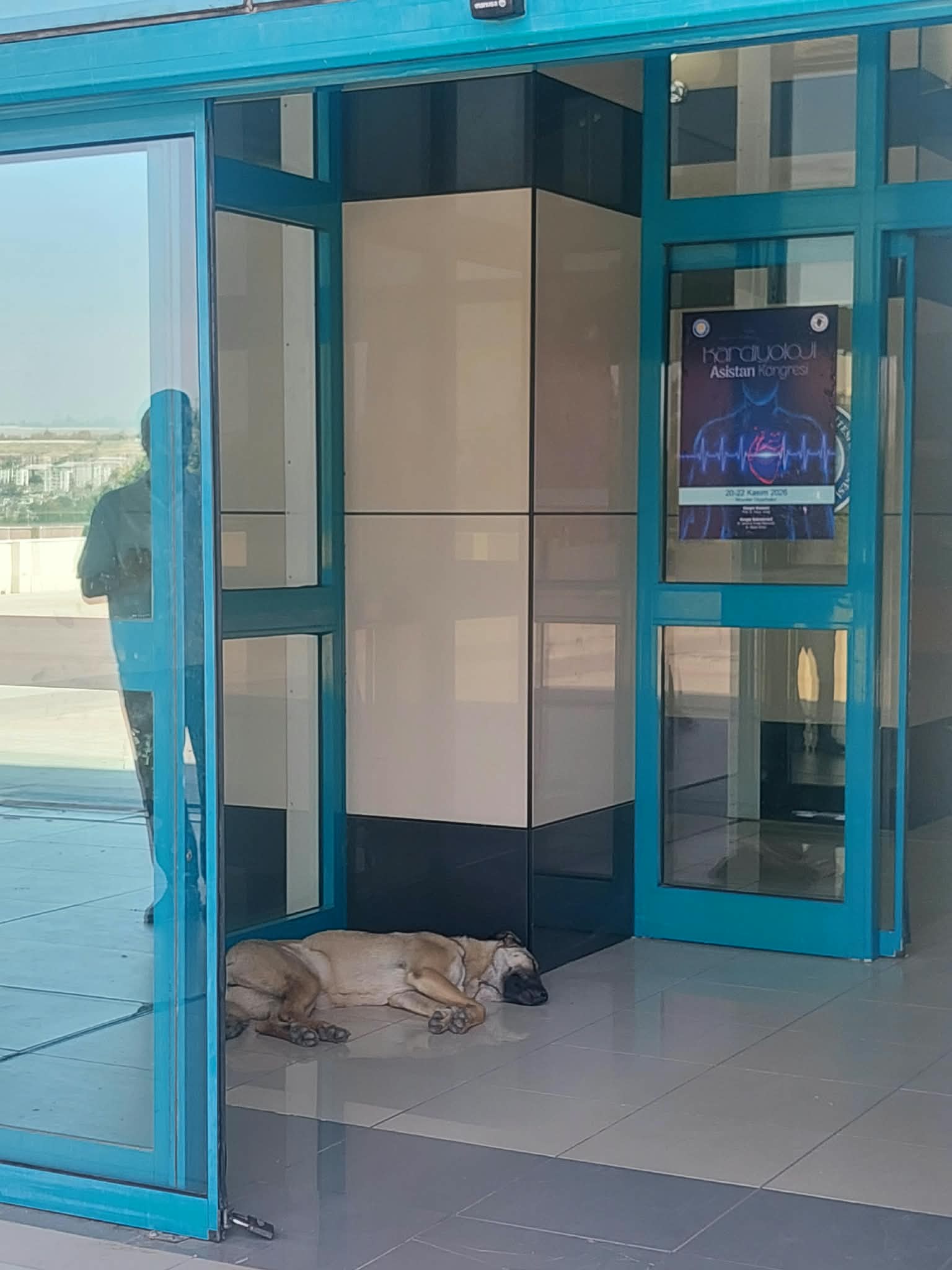 Kalp Hastanesinde Hijyen ve Güvenlik Alarmı: "Önlem Alınması İçin Köpek Isırması Mı Bekleniyor?"
