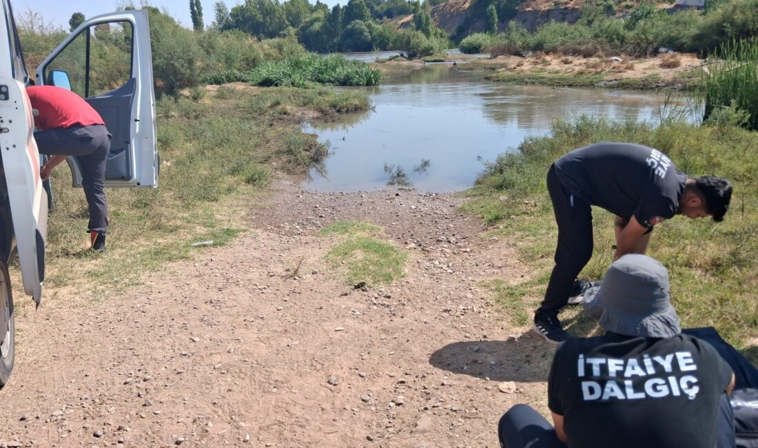 Diyarbakır'ın Sur ilçesinde 3 gündür Dicle Nehrindeki adacıkta mahsur kalan