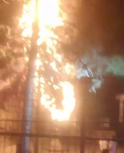 Diyarbakır’ın Kayapınar ilçesinde atılan havai fişekler site içerisindeki ağaca isabet