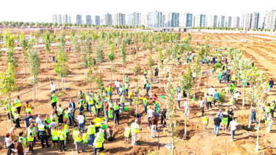 Diyarbakır Büyükşehir Belediyesi “Binlerce Ağaç ile Yeşil Amed” sloganıyla Mezopotamya