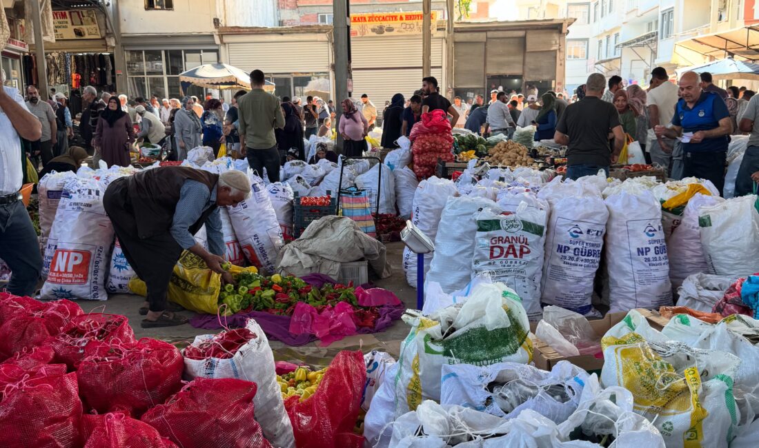 Diyarbakır’ın Çermik ilçesinde kurutma sezonu başladı.
