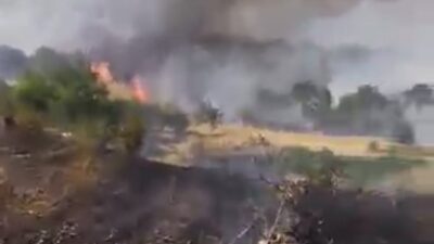 Diyarbakır'ın Çüngüş ilçesi Yukarı şeyhler mahallesinde yerleşim yerine yakın bir