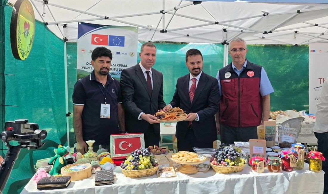 Yerel kalkınmanın dinamizmini, Yerel Eylem Gruplarının (YEG) kırsal kalkınmaya yönelik