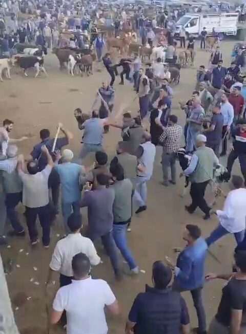 Diyarbakır Canlı Hayvan Borsası'nda önceki gün alacak verecek meselesi nedeni