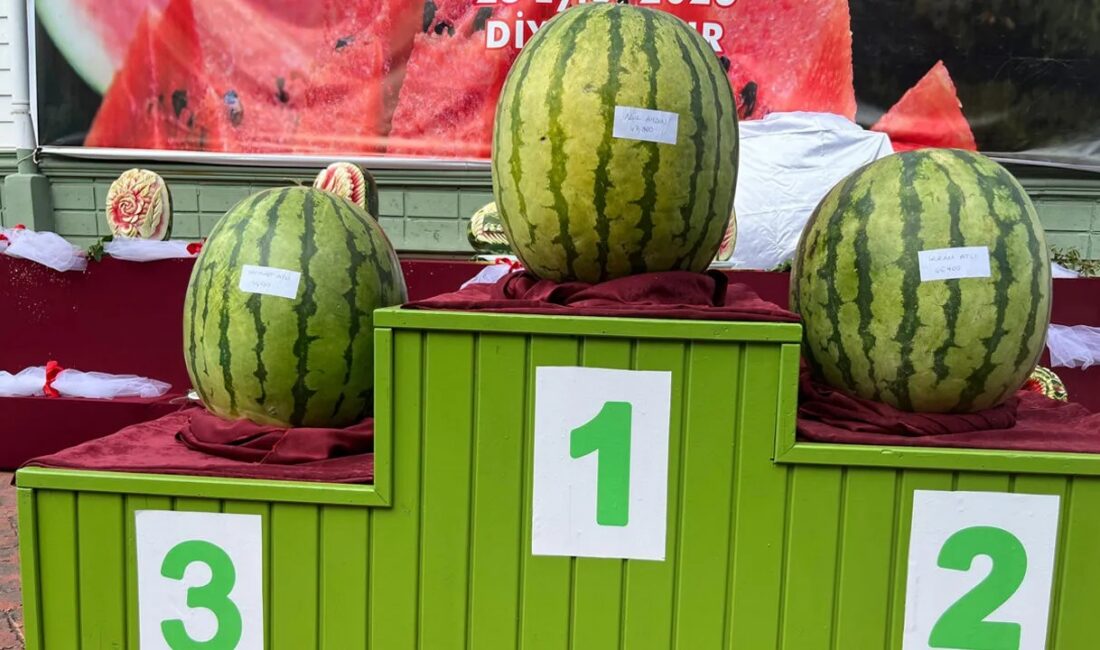 Diyarbakır'da düzenlenen 16. Geleneksel Diyarbakır Karpuzu Tanıtım Etkinliği'nde 47 kilo