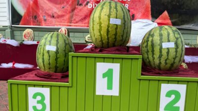 Diyarbakır'da düzenlenen 16. Geleneksel Diyarbakır Karpuzu Tanıtım Etkinliği'nde 47 kilo