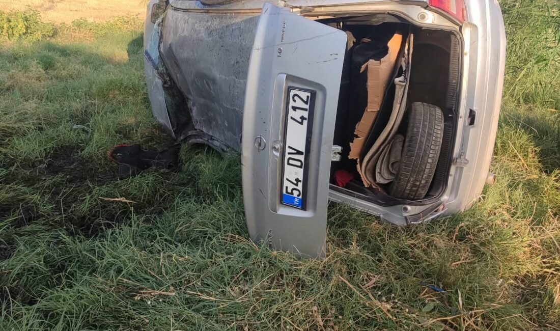 Diyarbakır'da kontrolden çıkan otomobilin devrilmesi sonucu meydana gelen trafik kazasında