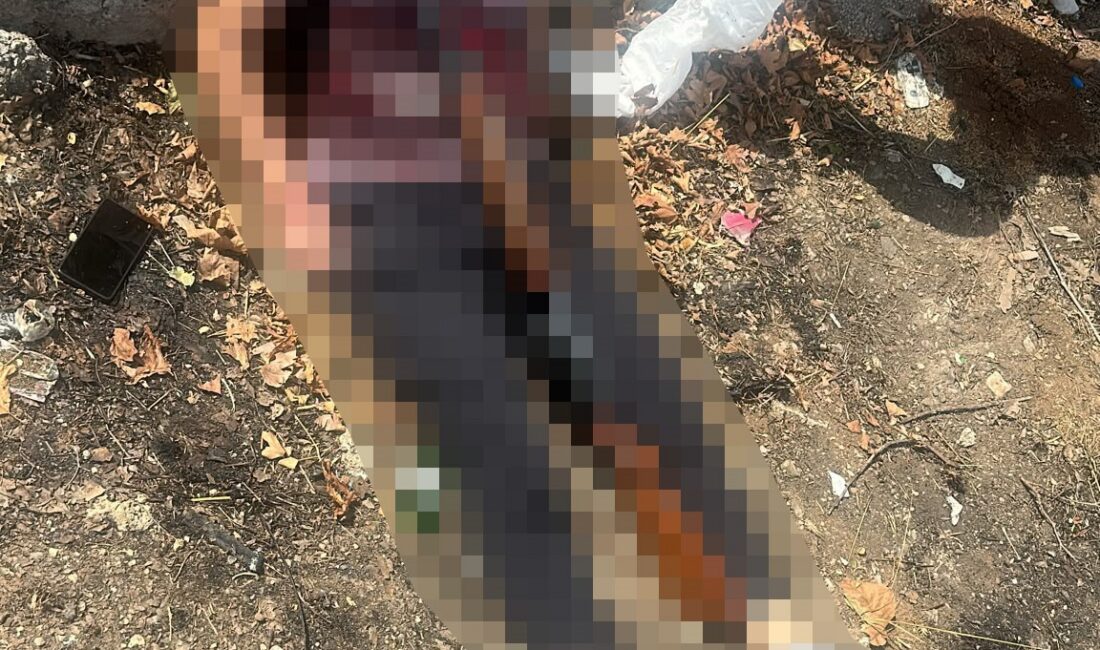 Diyarbakır’ın Bağlar ilçesinde pompalı tüfekle kendini vuran bir kişi hayatını