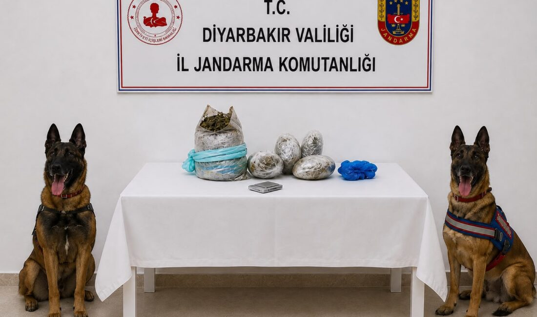 Diyarbakır’ın Lice ve Kulp ilçelerinde yasa dışı kenevir ekimine yönelik