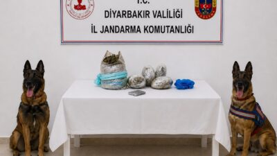 Diyarbakır’ın Lice ve Kulp ilçelerinde yasa dışı kenevir ekimine yönelik