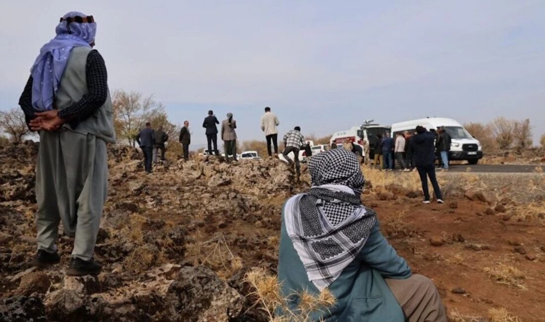 Diyarbakır’ın Çınar ilçesi Çömçeli köyünde yapılması planlanan pomza maden ocağı