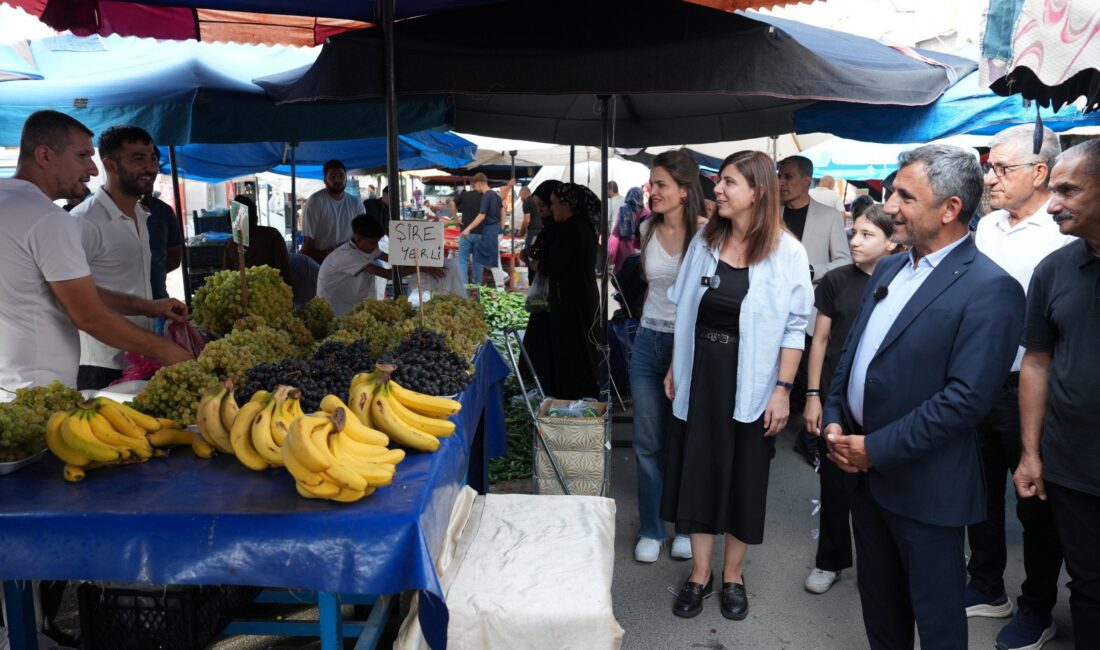 Diyarbakır Büyükşehir Belediyesi Eşbaşkanları Serra Bucak ve Emin Ay, kent