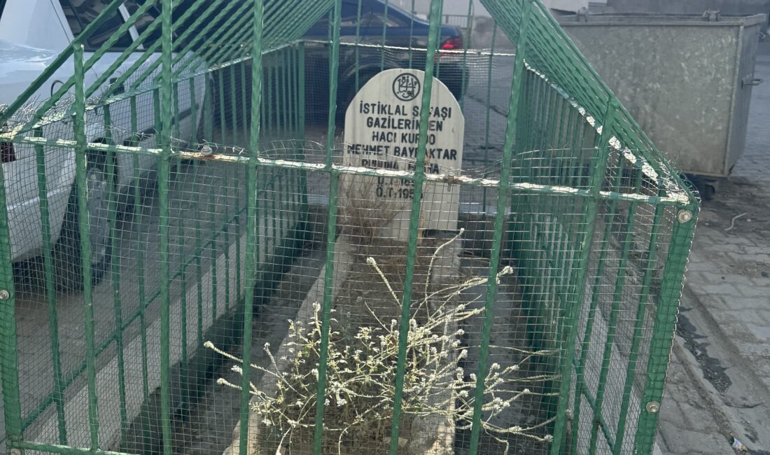 Diyarbakır'da İstiklal Savaşı gazisine ait mezar, yerleşim yerinin ortasındaki görüntüsü