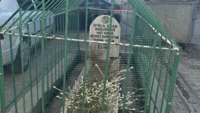 Diyarbakır'da İstiklal Savaşı gazisine ait mezar, yerleşim yerinin ortasındaki görüntüsü