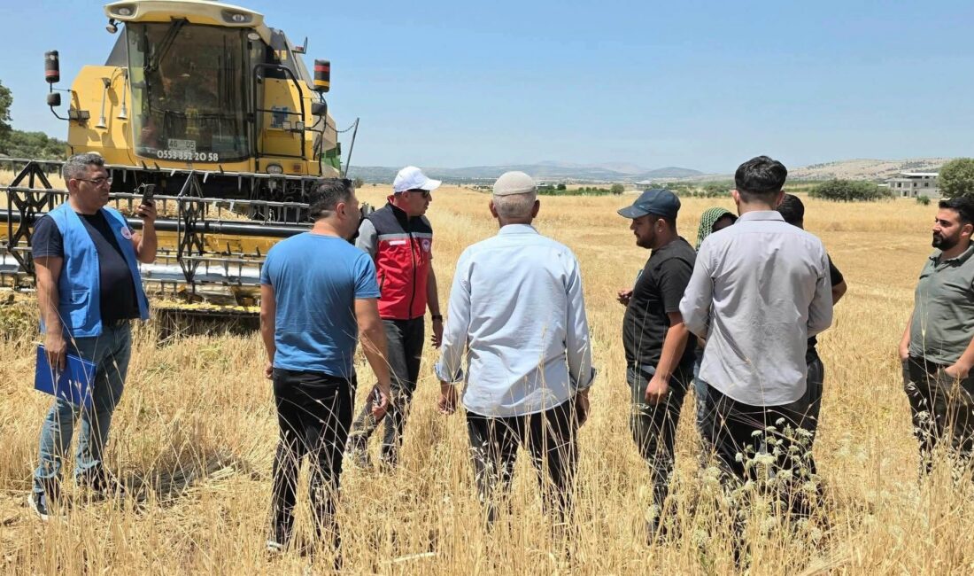 Tarım arazilerinin kullanımının etkinleştirilmesi projesi kapsamında yüzde 75 hibe ile
