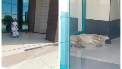 Diyarbakır Dicle Üniversitesi Kalp Hastanesi’nde çekilen son görüntüler, hastane içerisinde