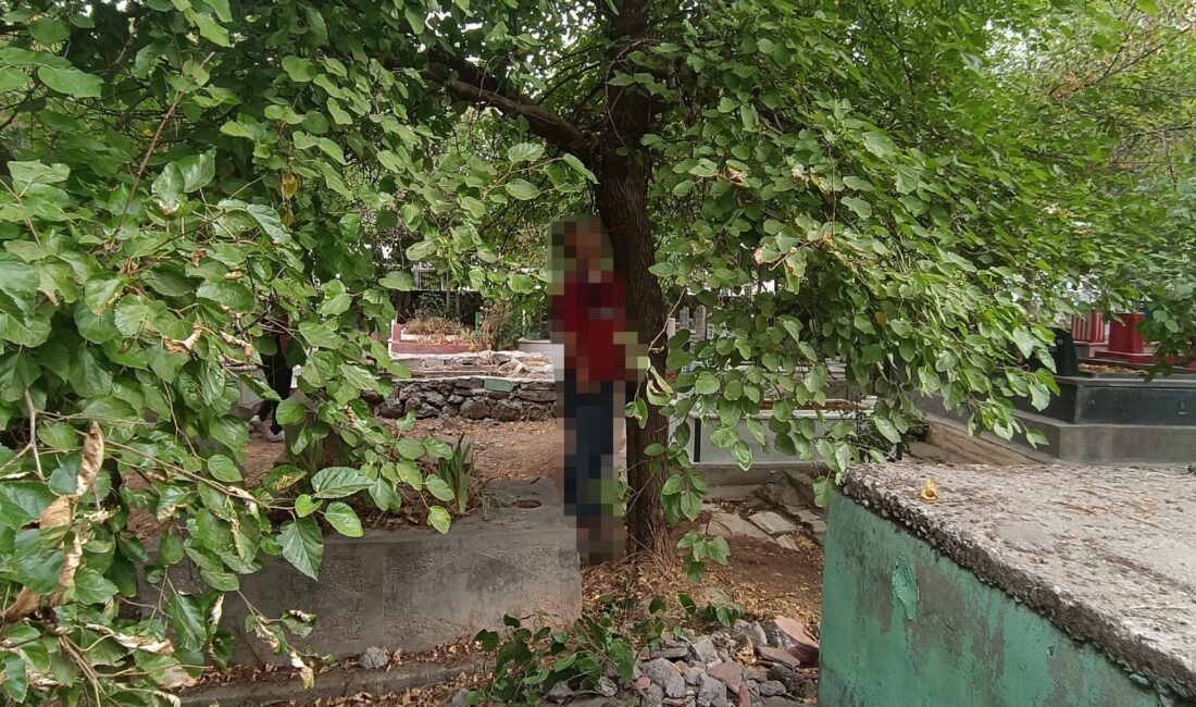 Diyarbakır'ın Bağlar ilçesinde bulunan mezarlıkta bir kişi ağaca asılı halde