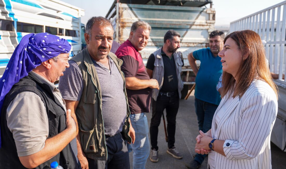 Diyarbakır Büyükşehir Belediyesi Eşbaşkanı Serra Bucak, Hayvan Borsası’nda esnaf ve