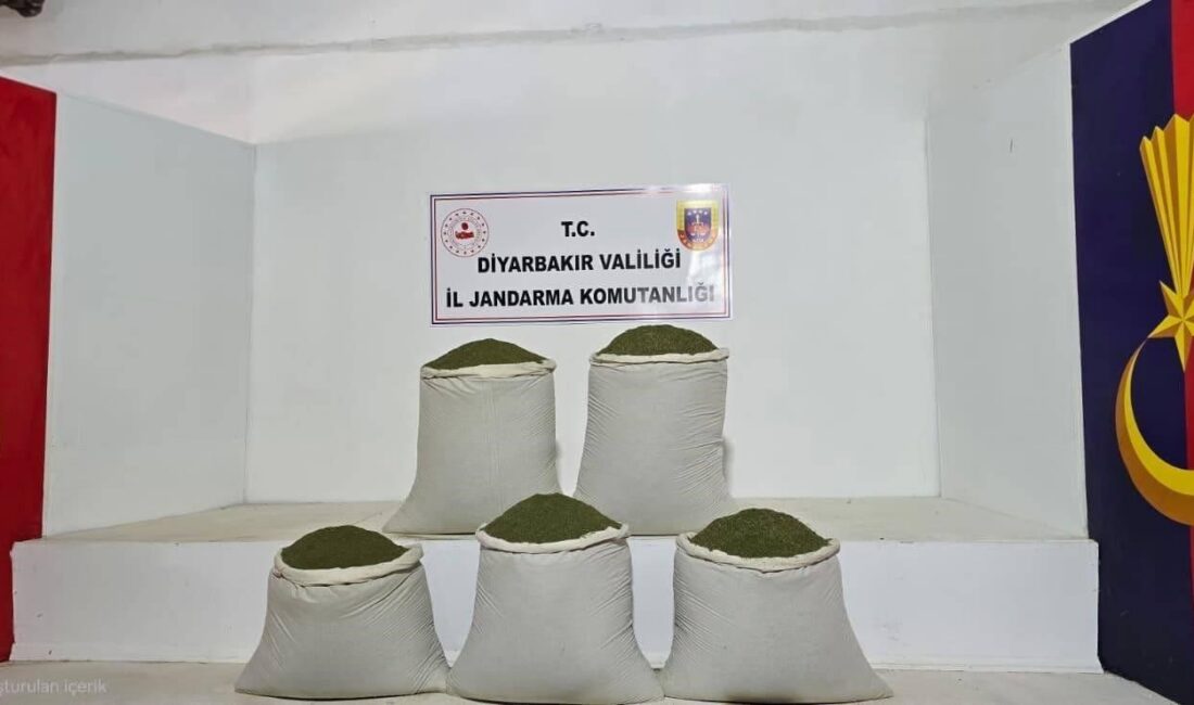 Diyarbakır’da jandarma ekiplerince düzenlenen operasyonlarda,14 bin 92 kök kenevir ve