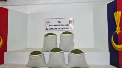 Diyarbakır’da jandarma ekiplerince düzenlenen operasyonlarda,14 bin 92 kök kenevir ve