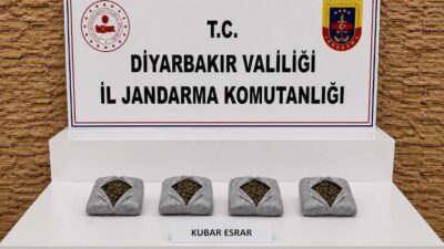 Diyarbakır'da jandarma ekiplerince düzenlenen operasyonlarda 187 bin 391 kök kenevir