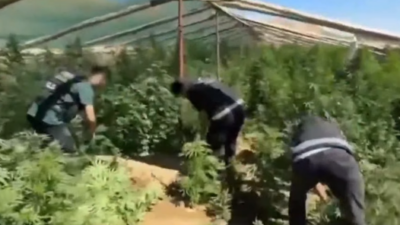 Diyarbakır'ın Ergani ilçesinde yapılan operasyonda yaklaşık 1 ton skunk/esrar maddesi