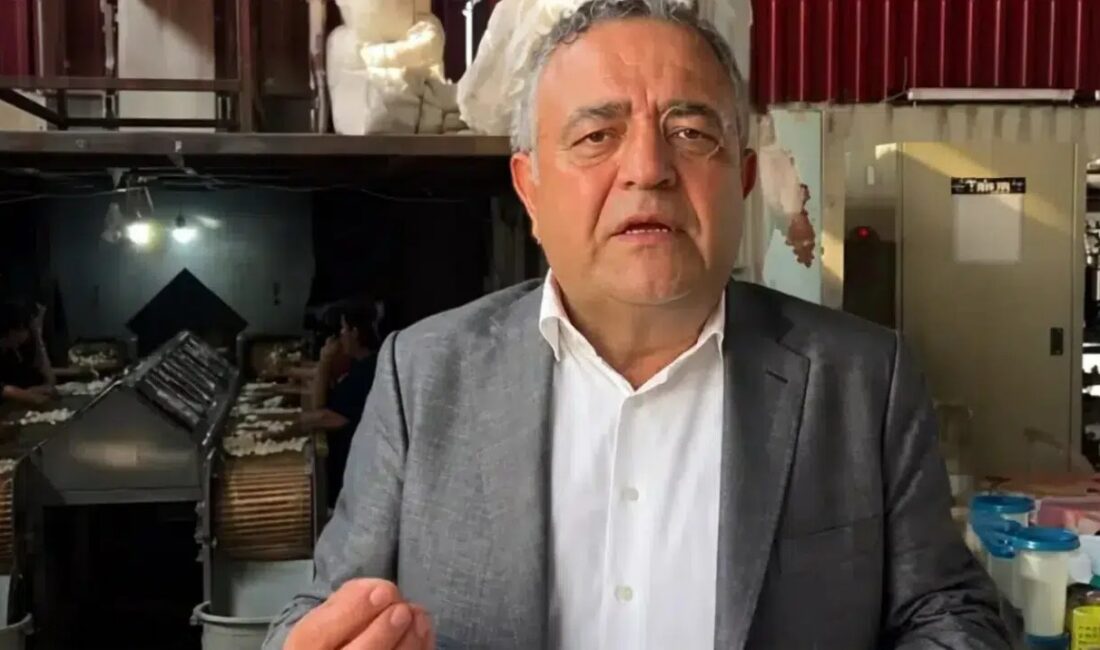 Türkiye’nin yaş koza üretiminin yüzde 70’ten fazlasını karşılayan Diyarbakır’ın Kulp