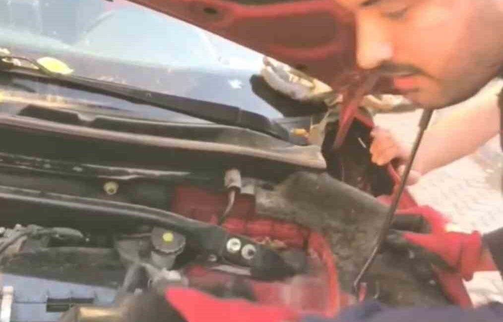 Diyarbakır’da park halindeki aracın motor kısmından sıkışan 3 yavru kedi,