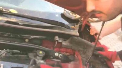 Diyarbakır’da park halindeki aracın motor kısmından sıkışan 3 yavru kedi,