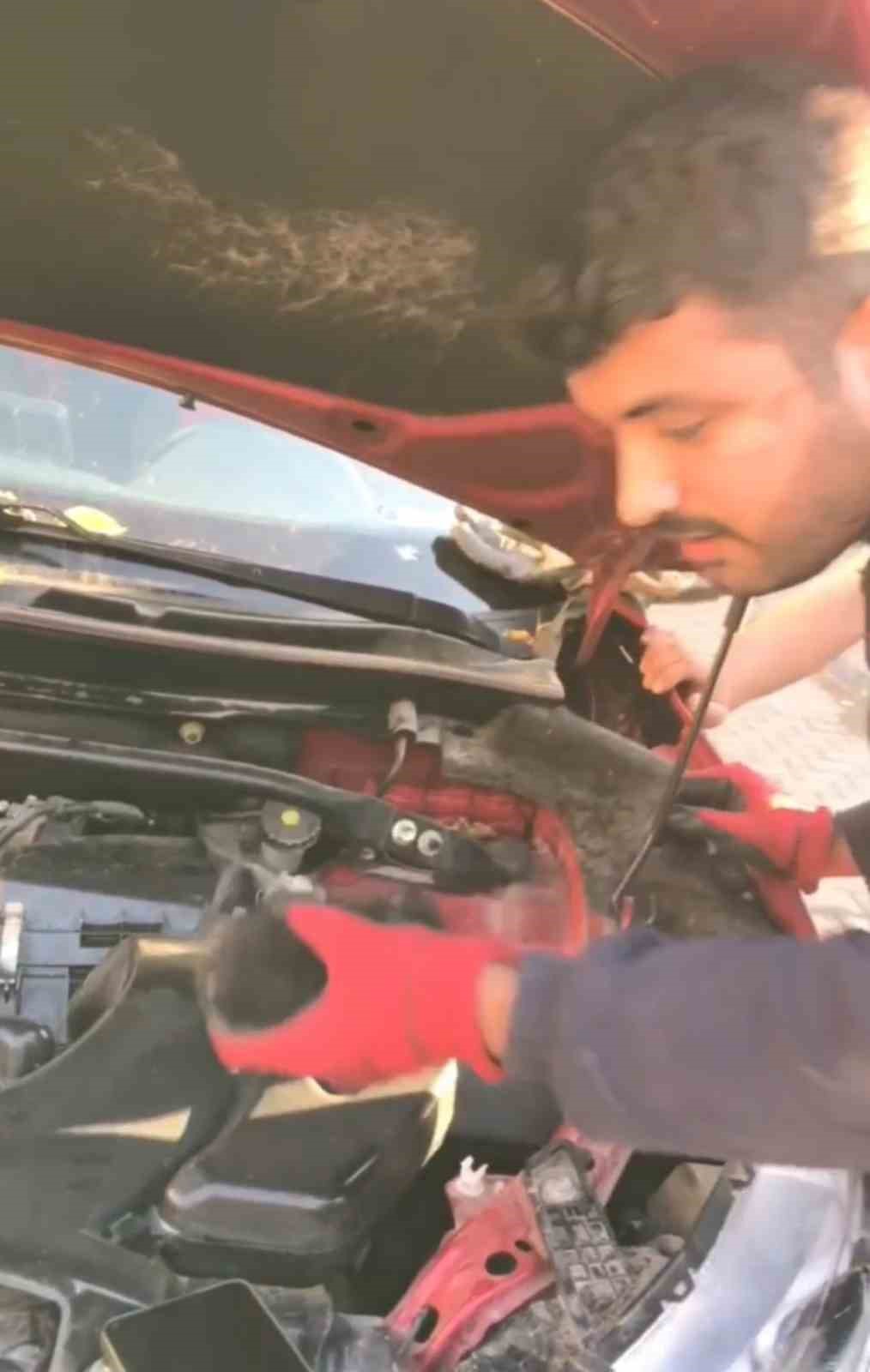 Diyarbakır’da park halindeki aracın motor kısmından sıkışan 3 yavru kedi,