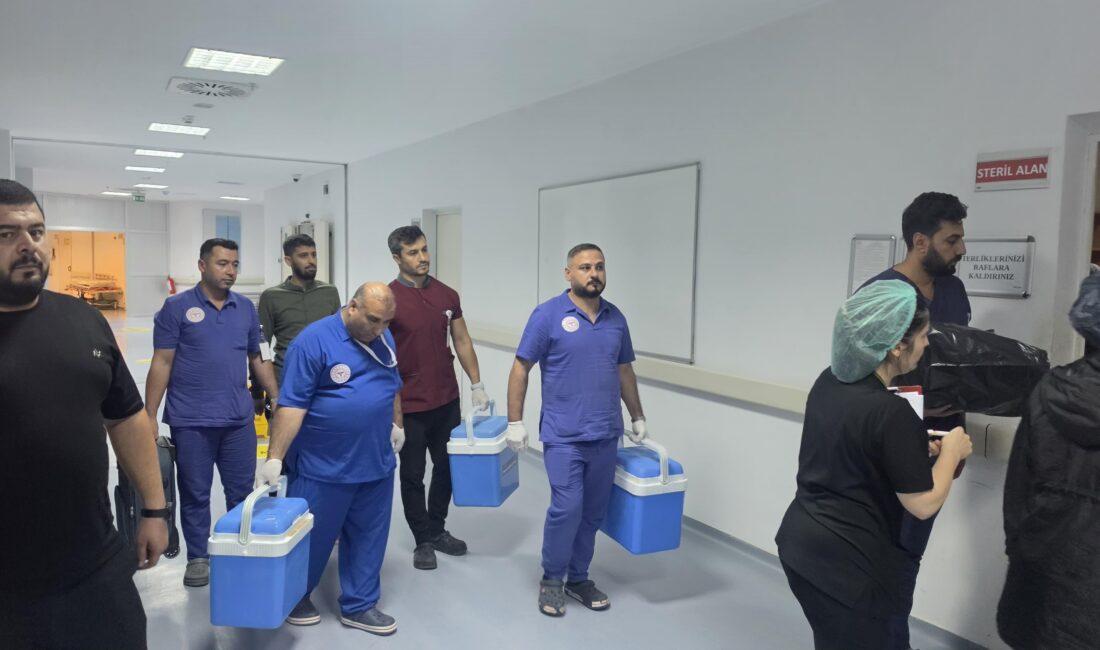 Şanlıurfa’da elektrik akımına kapılarak hayatını kaybeden 2 yaşındaki çocuğun organları