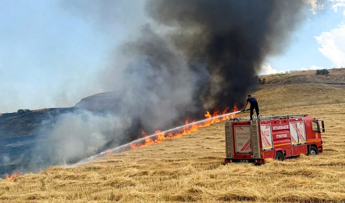 Diyarbakır Büyükşehir Belediyesi itfaiye ekipleri, mayıs–eylül döneminde bin 580’i anız