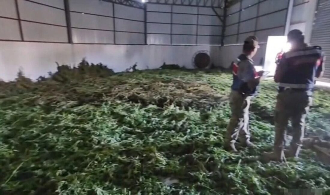 Diyarbakır'ın Bismil ilçesinde 2 ton 200 kg esrar maddesi ele