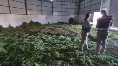 Diyarbakır'ın Bismil ilçesinde 2 ton 200 kg esrar maddesi ele