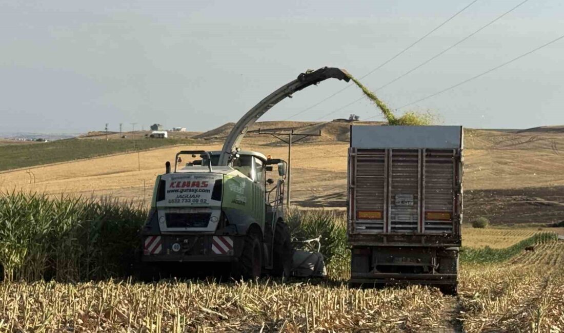 Güneydoğu Anadolu Bölgesinin verimli topraklarında ürün hasatları devam ediyor. Diyarbakır’ın