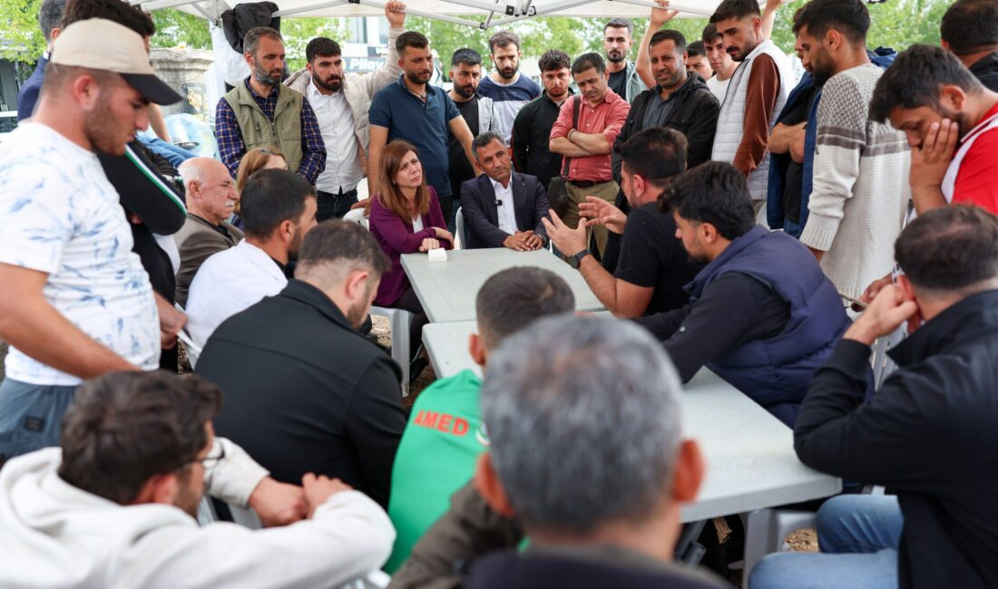 Diyarbakır Büyükşehir Belediyesi Eşbaşkanları Serra Bucak ve Emin Ay, Şehir