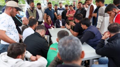 Diyarbakır Büyükşehir Belediyesi Eşbaşkanları Serra Bucak ve Emin Ay, Şehir