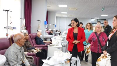 Kayapınar Belediyesi Eş Başkanı Berivan Gülşen Sincar 1–31 Ekim Meme