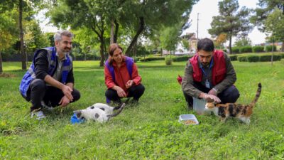 Diyarbakır Büyükşehir Belediyesi, 4 Ekim Hayvanları Koruma Günü kapsamında kent