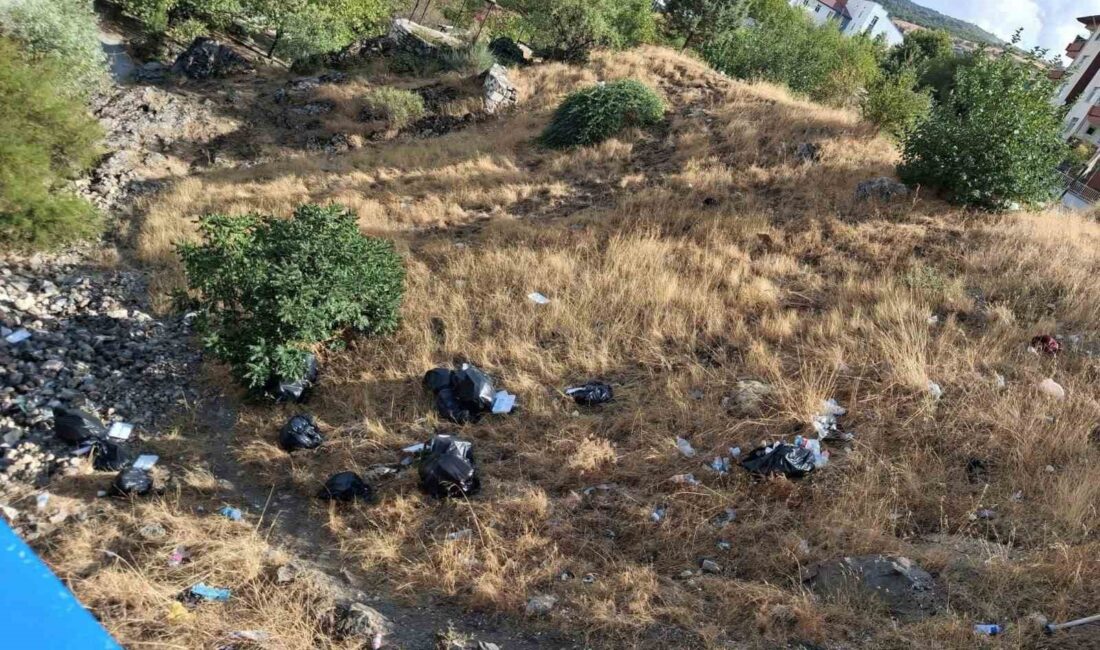 Diyarbakır’ın Çermik ilçesinde, Artuklu eseri tarihi Haburman Köprüsü civarına dökülen