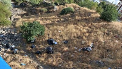 Diyarbakır’ın Çermik ilçesinde, Artuklu eseri tarihi Haburman Köprüsü civarına dökülen