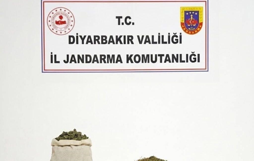 Diyarbakır’da jandarma ekiplerince düzenlenen operasyonlarda 97 bin 743 kök kenevir