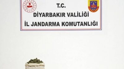 Diyarbakır’da jandarma ekiplerince düzenlenen operasyonlarda 97 bin 743 kök kenevir