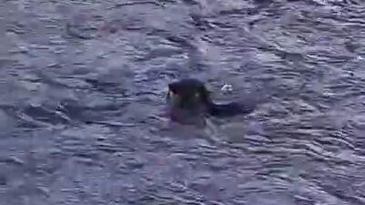 Diyarbakır Dicle Nehri kenarında oturan bir vatandaş, suda balık yakalamaya
